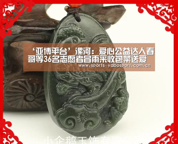 ‘亚博平台’漯河:爱心公益达人春哥等36名志愿者冒雨采收包菜送爱心粥屋(图2) 亚博app